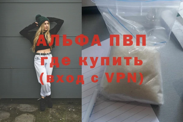 мяу мяу мука Гусь-Хрустальный