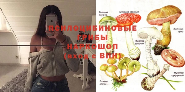 сатива Балабаново