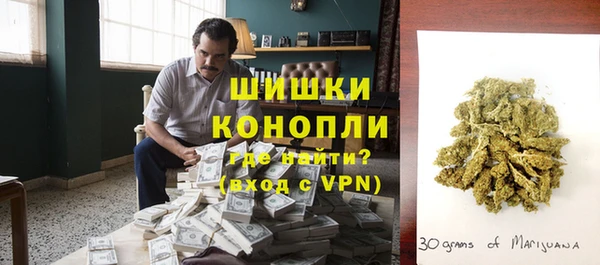 ГАЛЛЮЦИНОГЕННЫЕ ГРИБЫ Куйбышев